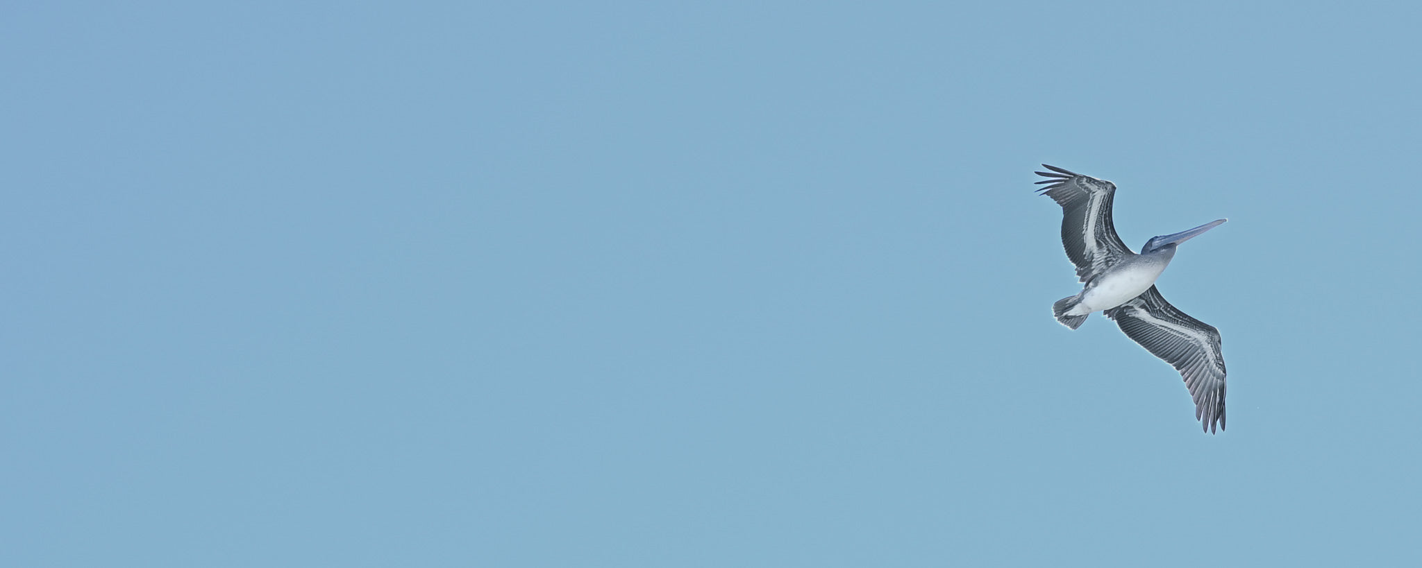 Minimalist