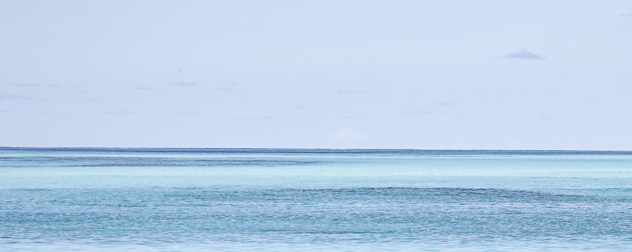 The Caribbean