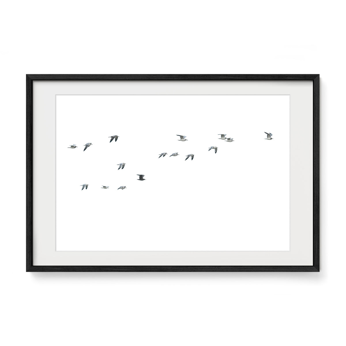 Flock / Cannon Beach / Cannon Beach, OR