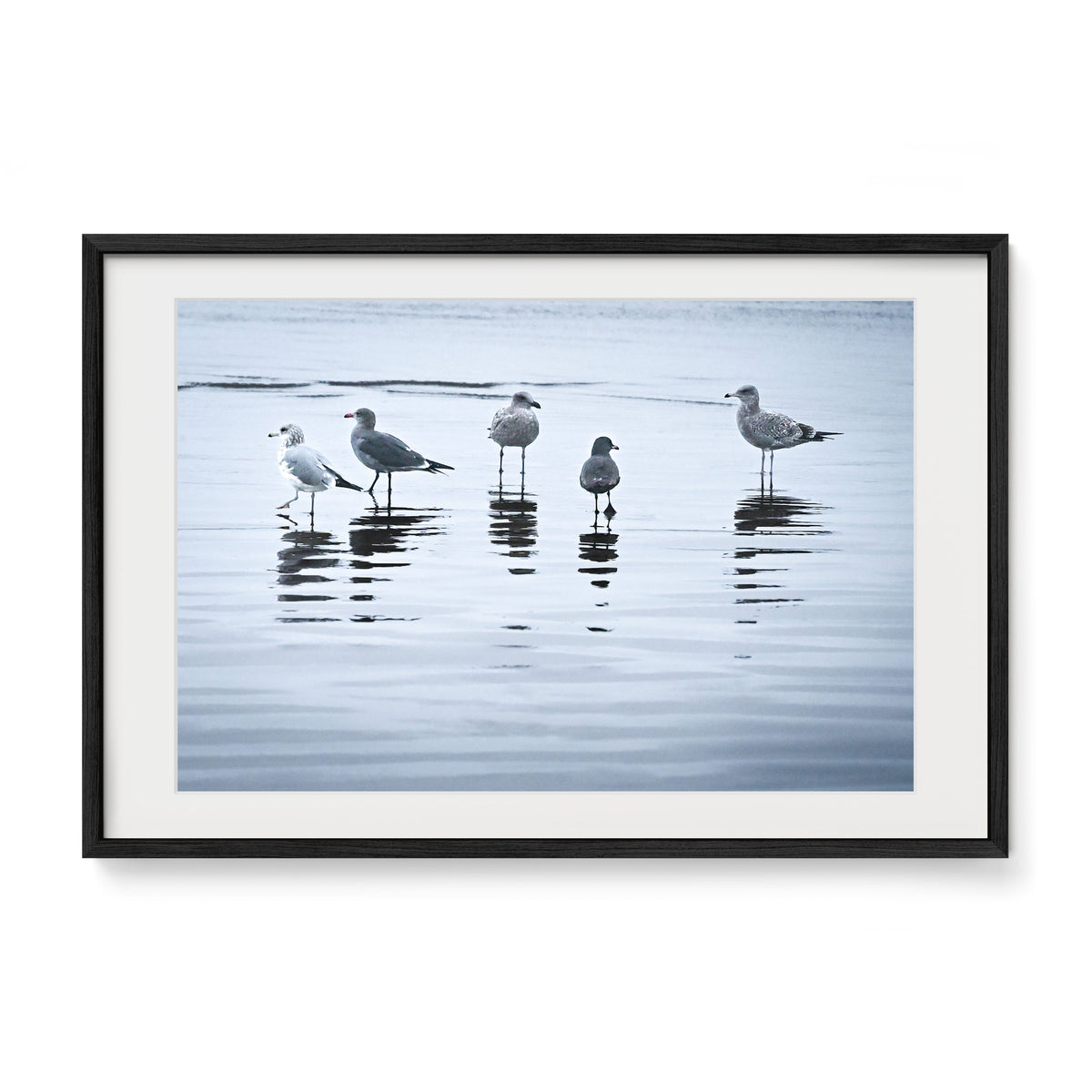 Lineup / Cannon Beach / Cannon Beach, OR
