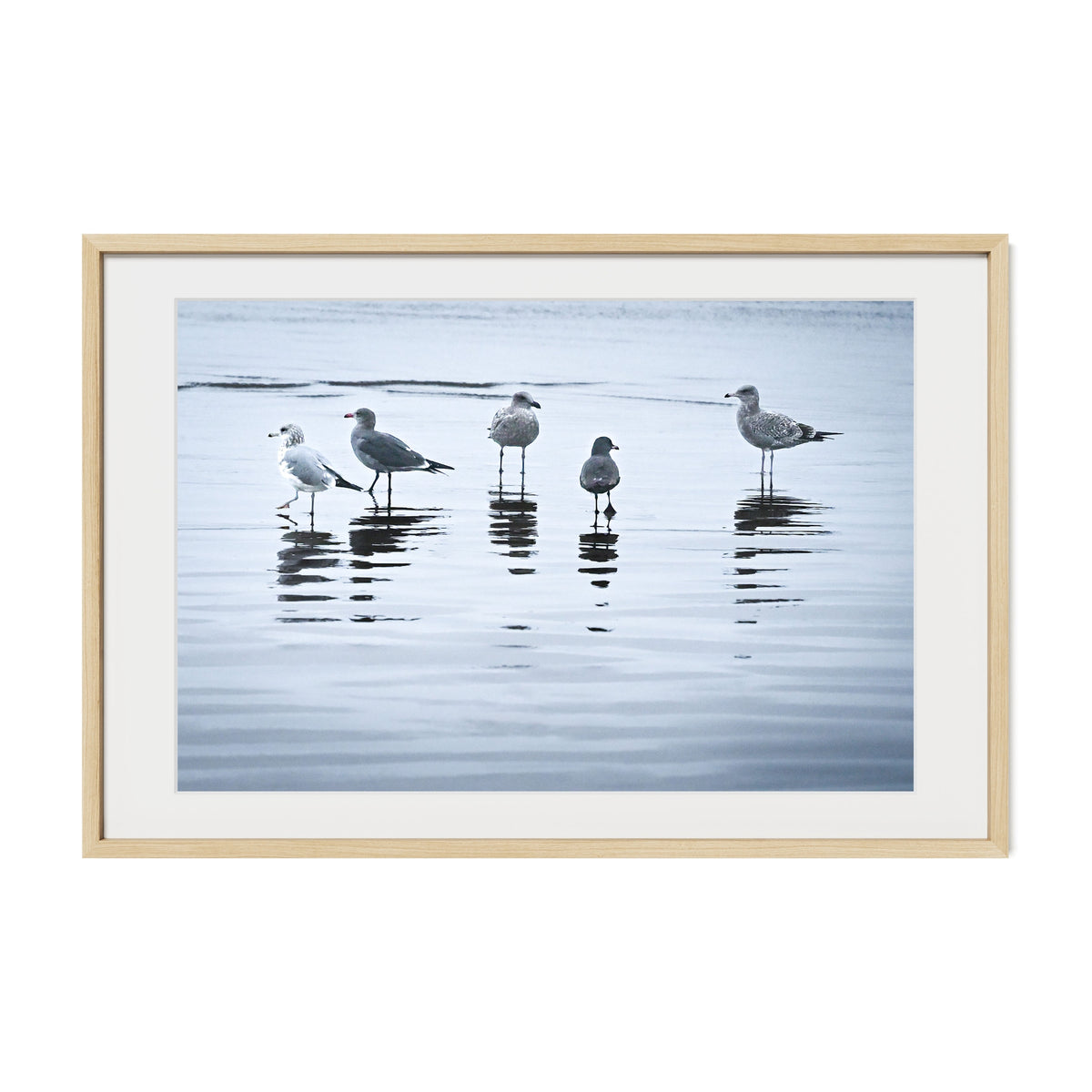 Lineup / Cannon Beach / Cannon Beach, OR