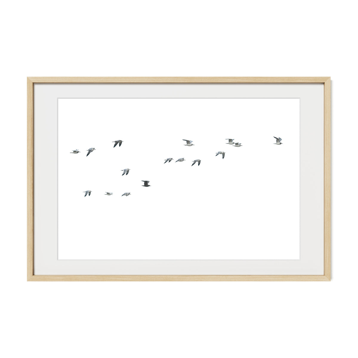Flock / Cannon Beach / Cannon Beach, OR