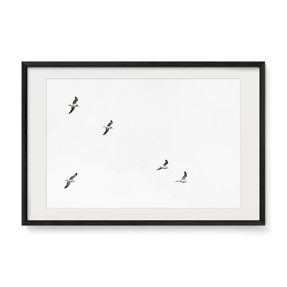 Wingspan / Cannon Beach / Cannon Beach, OR